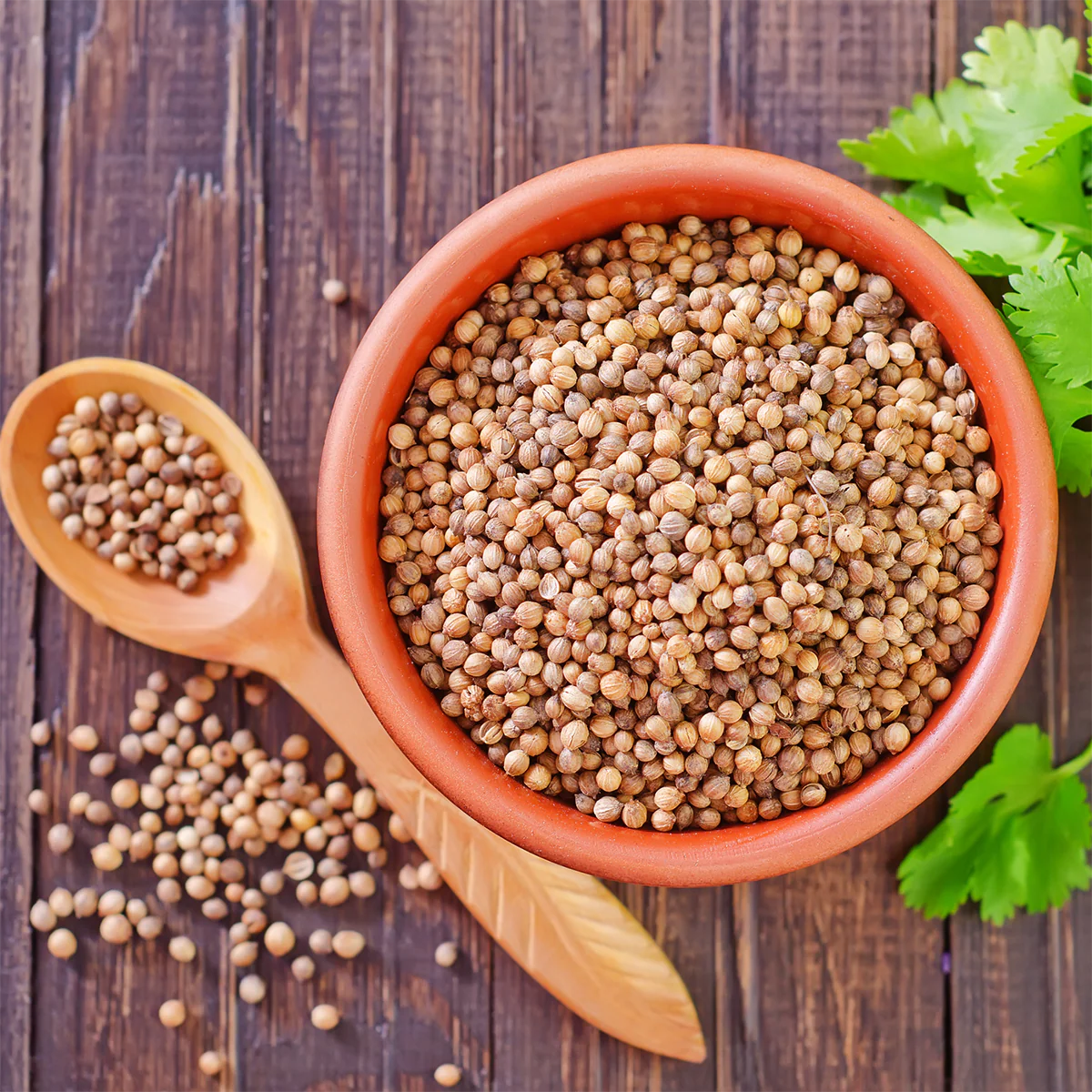 Whole Coriander