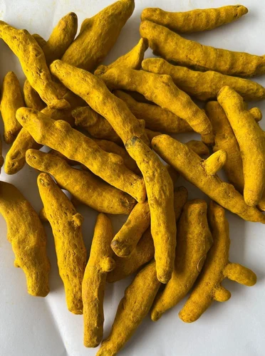Erode and Salem Turmeric